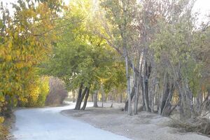 همه راه های اصلی ناژوان اصفهان بسته می شود
