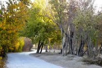 همه راه های اصلی ناژوان اصفهان بسته می شود