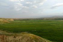 "جهش تولید با مشارکت مردم" از رهگذر اجرای طرح یکپارچه‌سازی اراضی کشاورزی