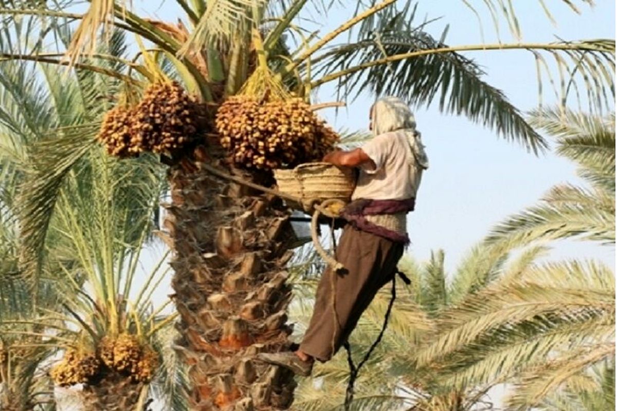 مهران