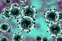 The economic damage of Coronavirus is much more than 2008 crisis