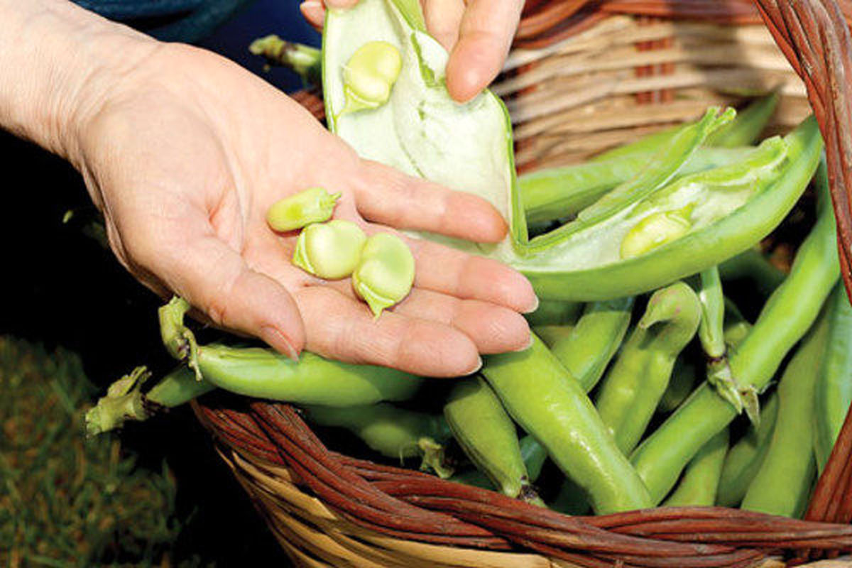 2-روش-پوست-کندن-باقلا-600x400