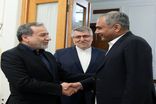 وزیر کشور پاکستان مجددا با عراقچی دیدار کرد