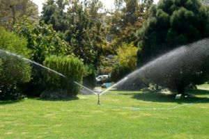 بیش از ۲۵۰ هزار متر مربع فضای سبز در پردیسان توسعه پیدا کرد