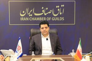  لزوم همکاری دو «سامانه» در صدور پروانه‌های کسب الکترونیک اتباع خارجی