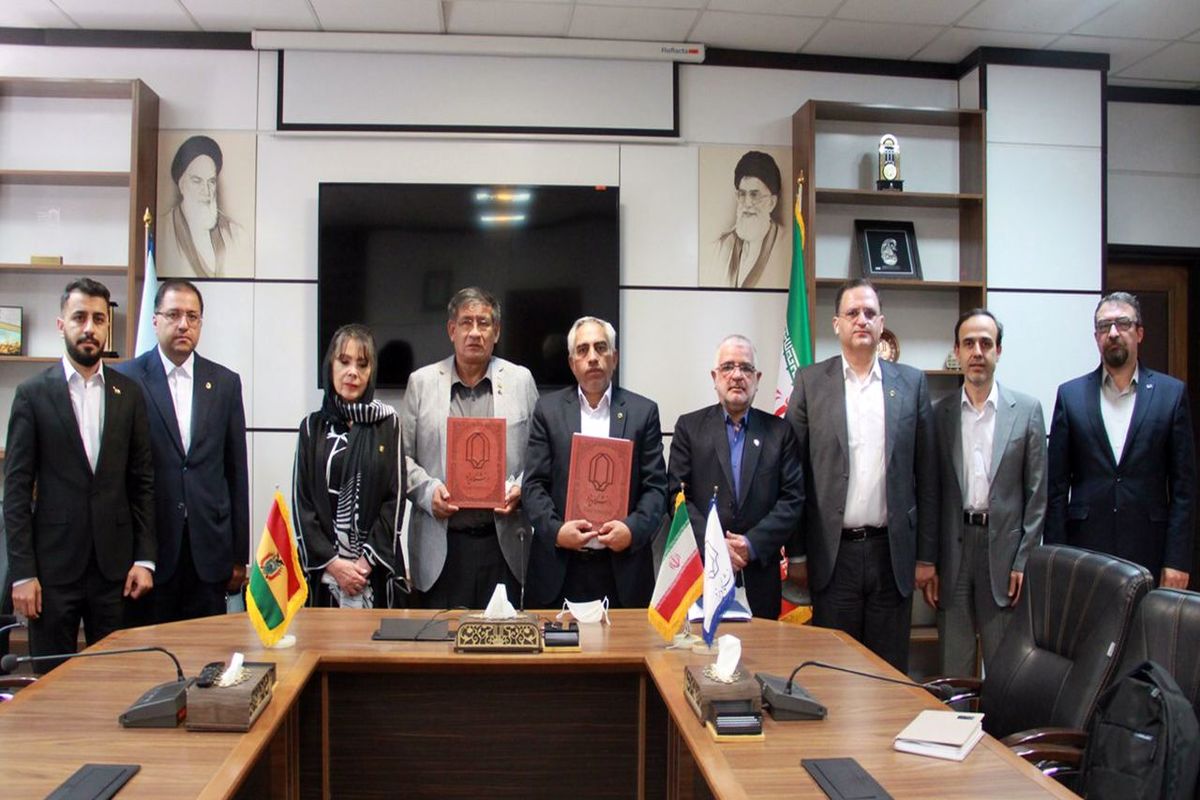 دانشگاه یزد