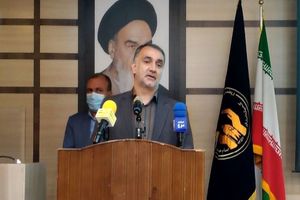 اجرای طرح جهش تولید در سطح ۷۰ هزار هکتار از اراضی دیم ایلام