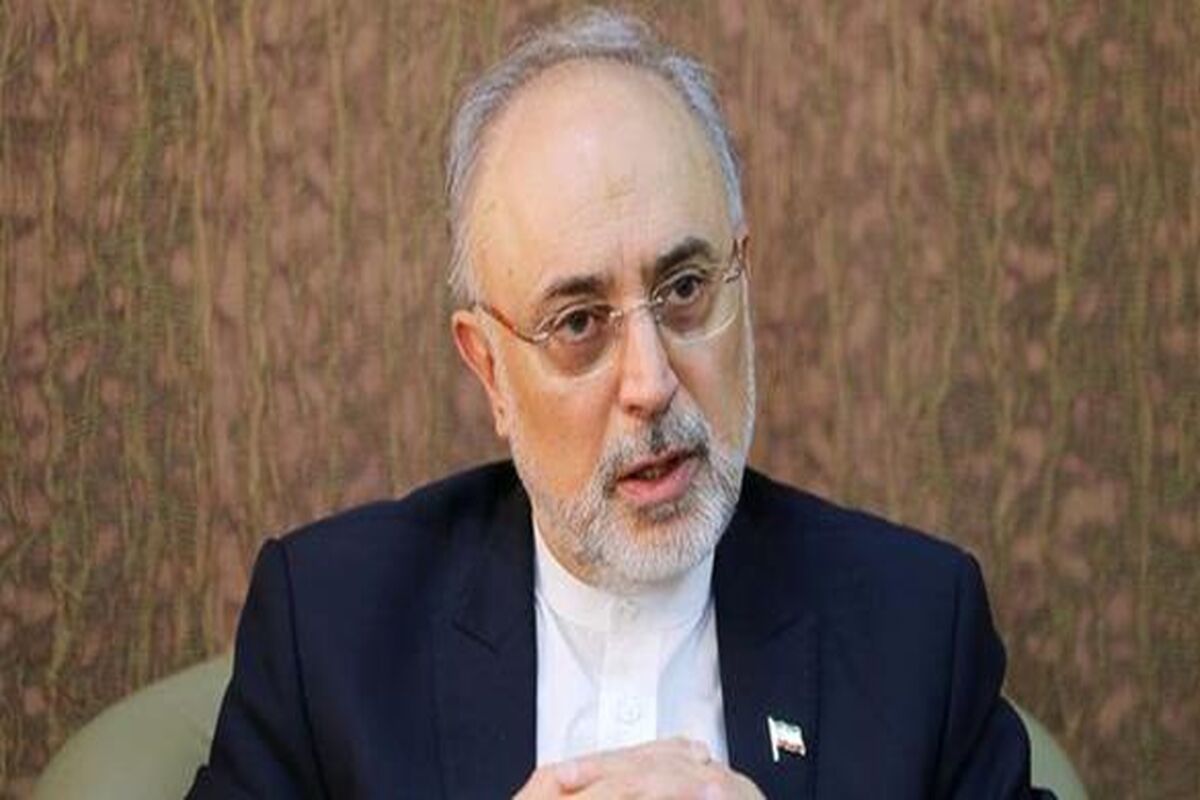 علی‌ اکبر صالحی