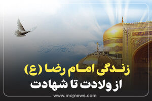 اینفوگرافیک/زندگی نامه امام رضا (ع)