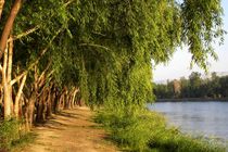 اجرای ابرعروسک‌های نوری برای اولین‌بار در اصفهان