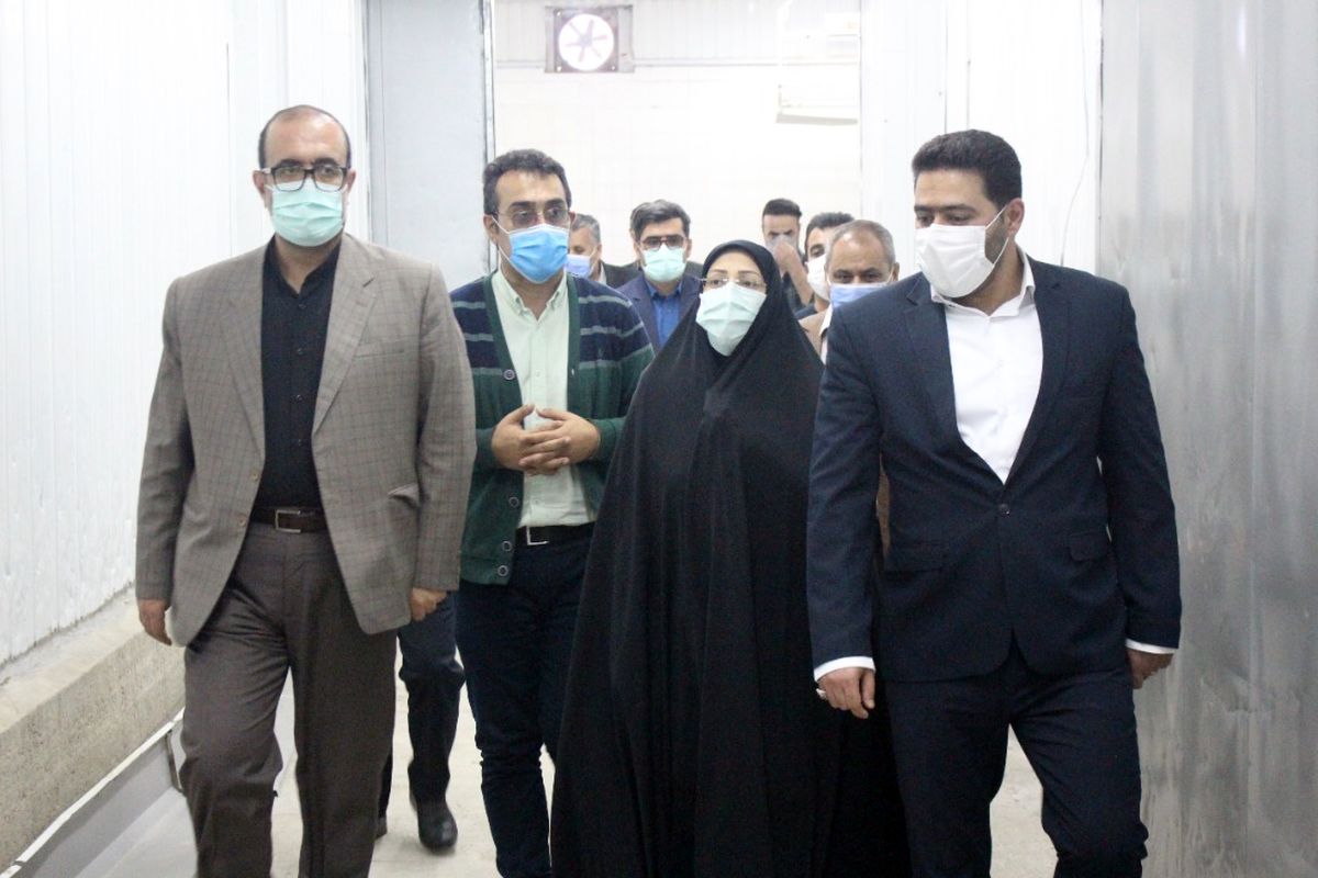 صفری معاون توسعه مدیریت و منابع استانداری مازندران