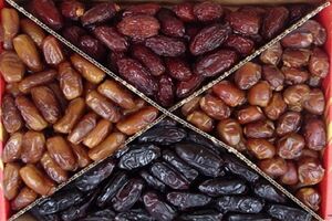 مدیران باید جوانان را به سمت درآمدزایی از فضاهای اینترنتی سوق دهند