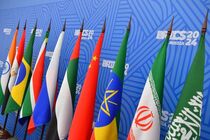 برزیل میزبان نشست وزرای خارجه بریکس شد