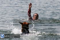 مانور سگ های امداد و نجات هلال احمر