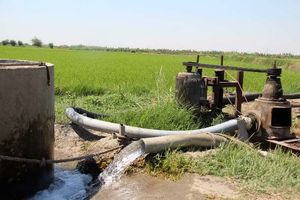 هشدار مدیرعامل آب منطقه‌ای مازندران درباره افت منابع زیرزمینی بر اثر کشت دوم برنج