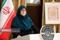 دولت به‌عنوان مجری قانون، ملاحظاتی درباره طرح عفاف و حجاب دارد + فیلم