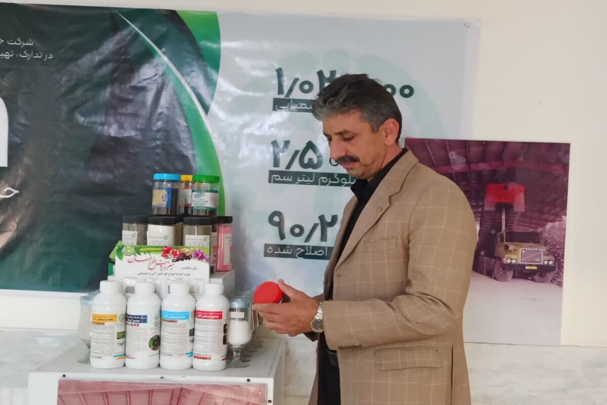 بیگی