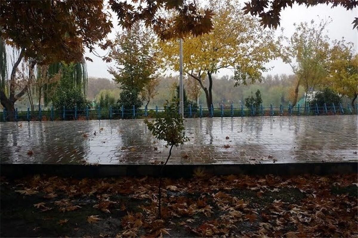 هوای بارانی