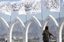 طالبان شایعه ممنوعیت اینترنت را رد کرد