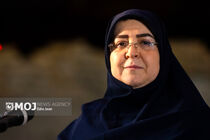 پشت هر دستاورد دیپلماتیک سال‌ها مقاومت و مجاهدت نهفته است