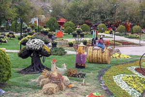 نمایش ۲۵۰ هزار بوته گل پاییزی در جشنواره به رنگ و طعم پاییز در مشهد