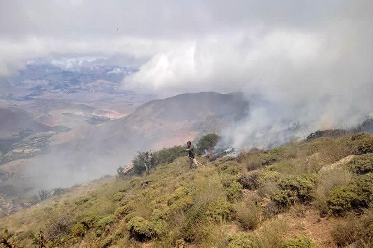 منابع طبیعی