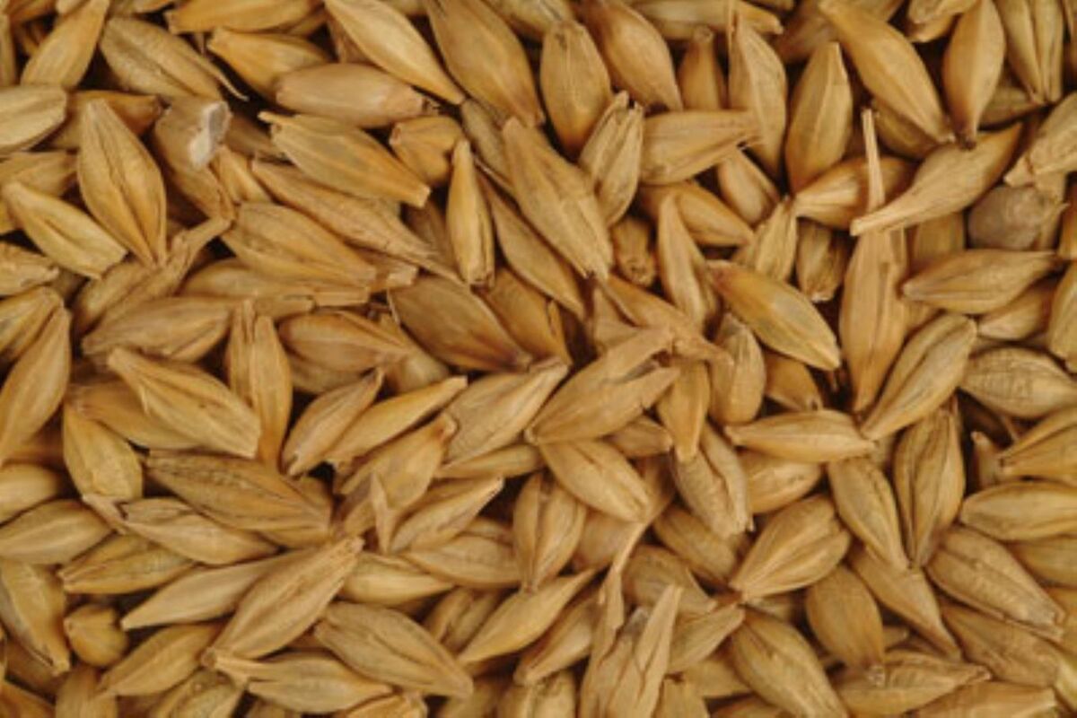 رقم جدید جو آبی
