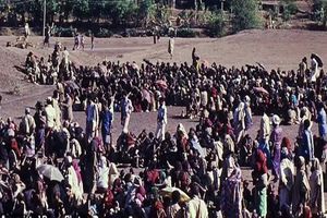 مهاجرت اجباری 216 میلیون نفر در پی تغییرات آب و هوایی