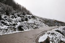 انسداد جاده چالوس تا بعداز ظهر