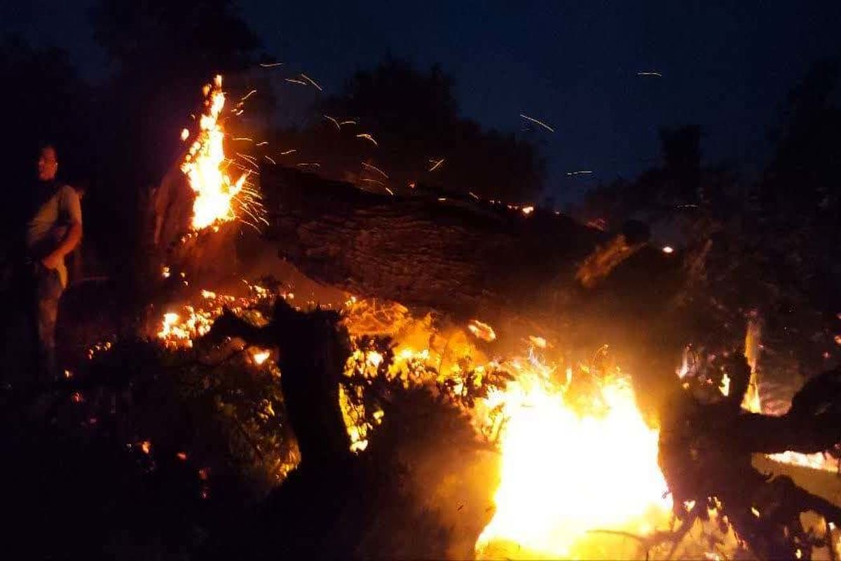 آتش سوزی بر اثر صاعقه در کلاردشت