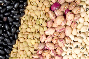 نرخ حبوبات در شهر تهران اعلام شد