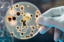 عفونت بیمارستانی در کمین بیماران