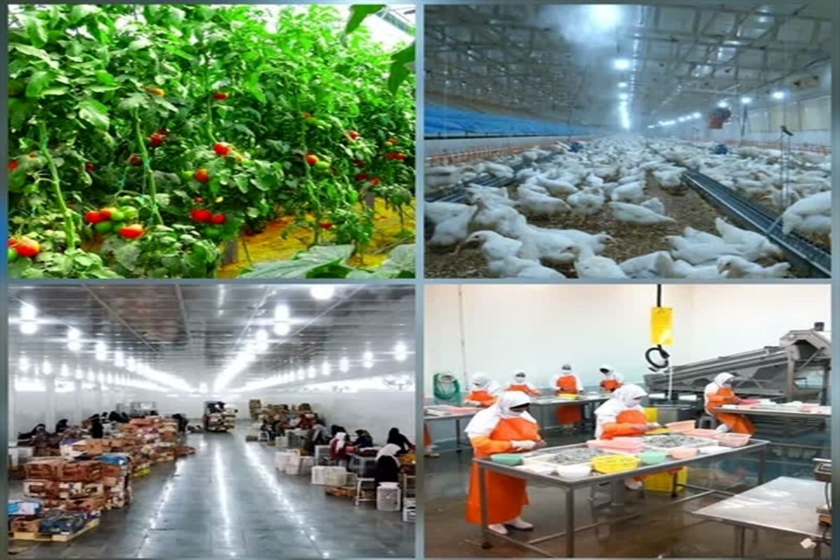 بانک کشاورزی