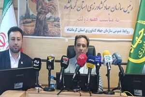 ظرفیت ۶ میلیون تنی صنایع تبدیلی کرمانشاه، گامی برای مهار خام‌فروشی کشاورزی