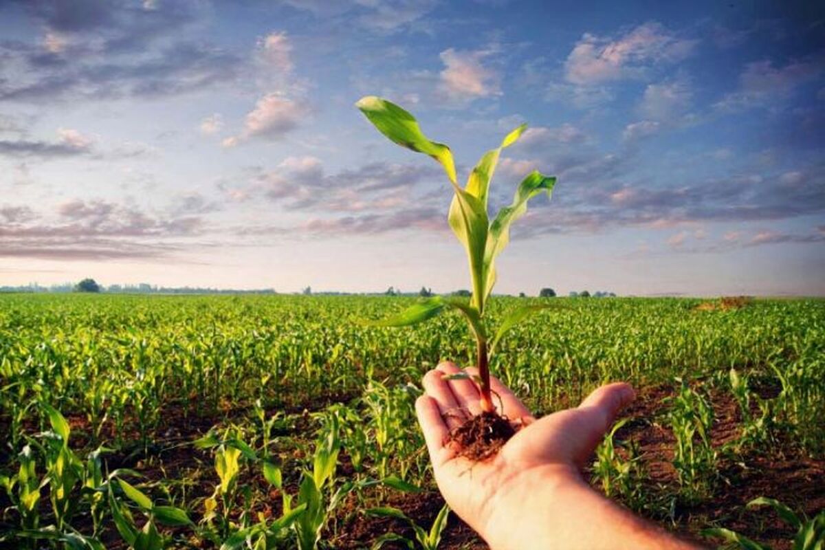همایش آشنایی با تهدیدات زیستی