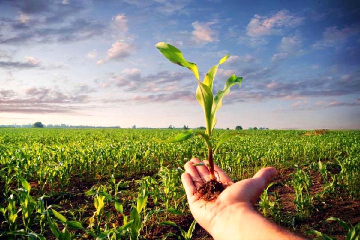 همایش آشنایی با تهدیدات زیستی