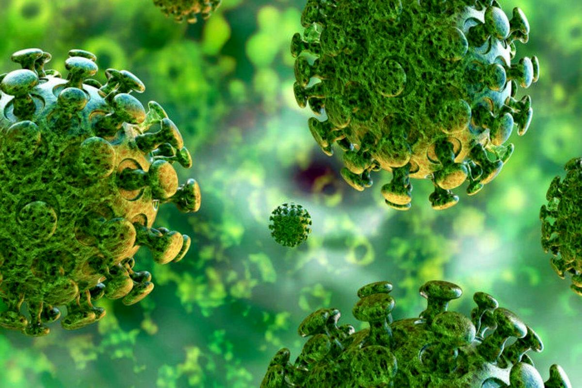 ویروس کرونا