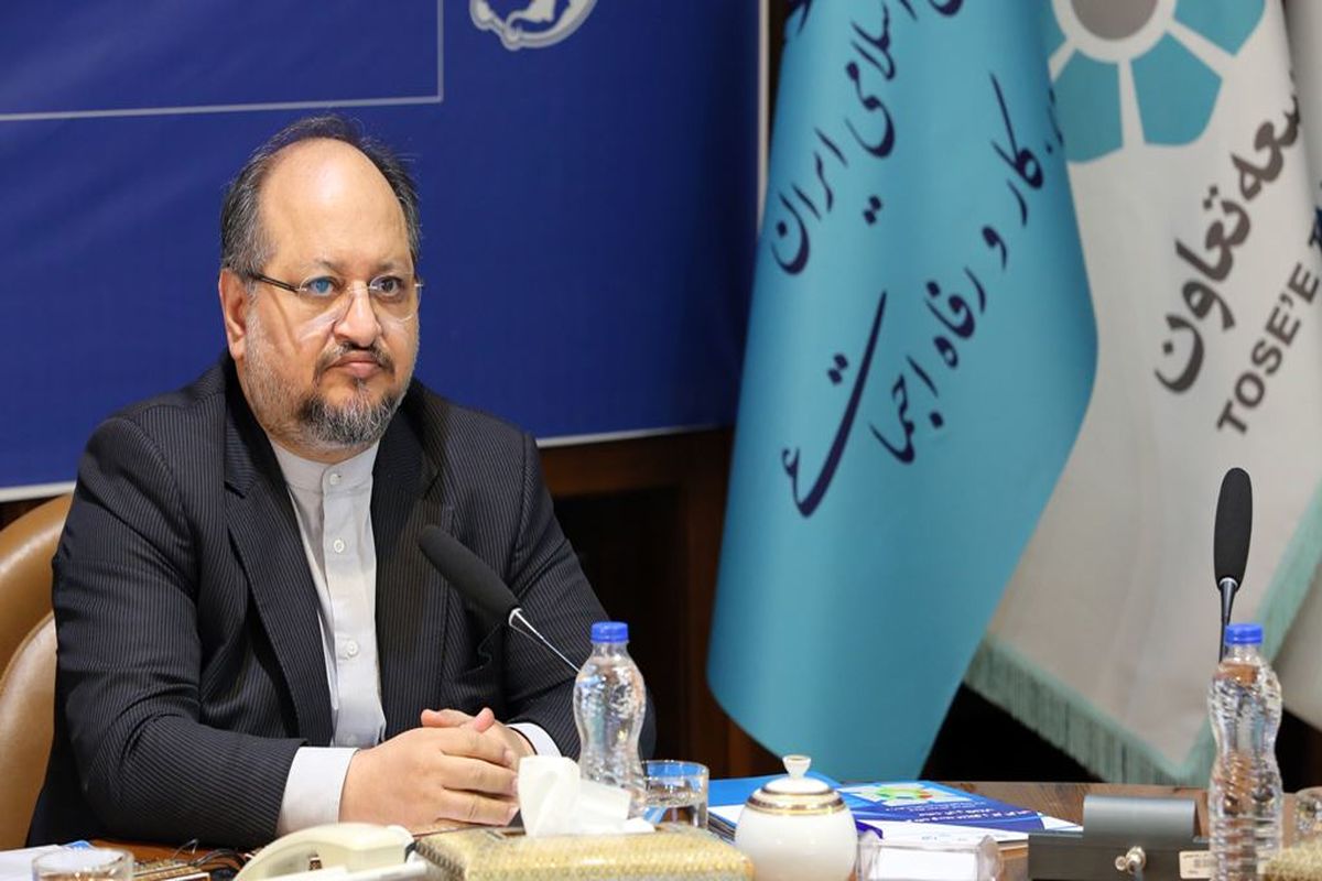 وزیر تعاون،کار و رفاه اجتماعی