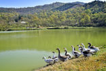 آغاز نصب صفحات خورشیدی روی آب‌بندان‌های مازندران
