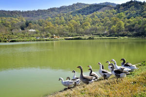 آبگیری 35 درصد از ظرفیت آببندان‌های مازندران