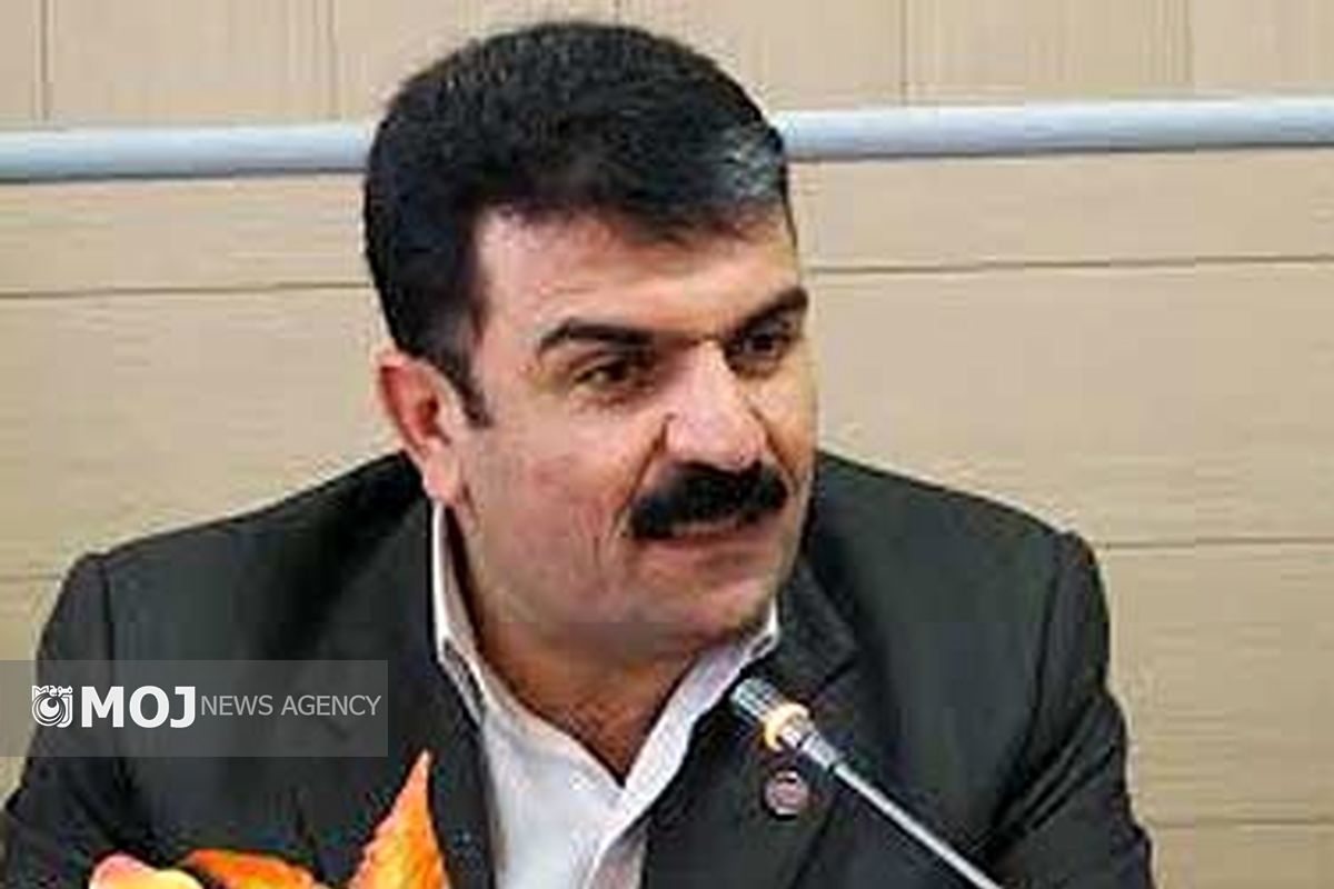 سیدجمیل احمدی