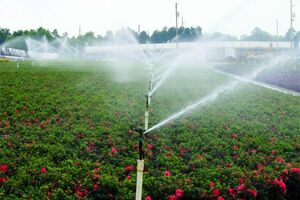 اجرای طرح آبیاری نوین در 500 هکتار باغات در تیران و کرون
