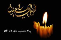 شهردار قم ارتحال آیت الله صافی گلپایگانی را طی پیامی تسلیت گفت