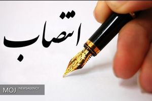 سرپرست شیلات هرمزگان معرفی شد