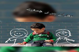 برنامه و نحوه عملکرد نهادهای مختلف در موضوع جمعیت مشخص می‌شود