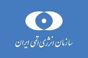 افزایش تولید کیک زرد موجب افزایش توان استراتژیک کشور می‌شود