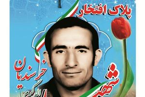 پلاک افتخار در سر درب منازل شهدای یاسوج رونمایی می‌شود