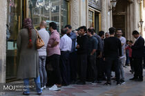 قیمت سکه یک میلیون و ۸۱۵ هزار تومان شد