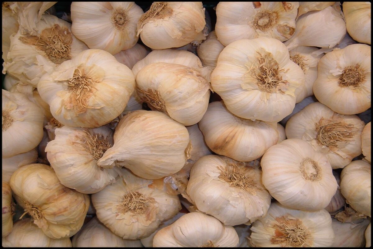 سير