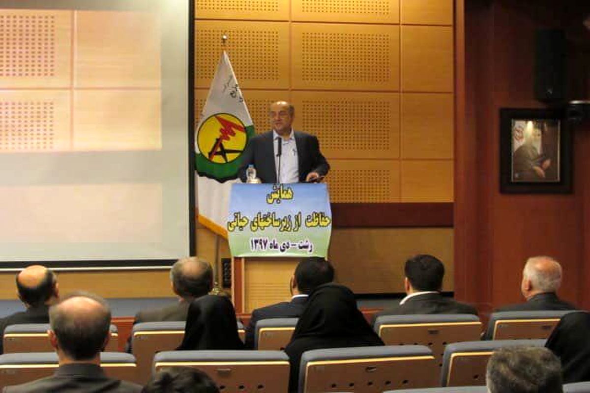 مدیرعامل شرکت سهامی برق منطقه‌ای گیلان